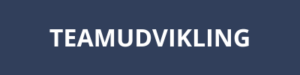 Teamudvikling